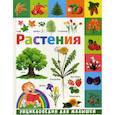 russische bücher: Гриценко Елена Николаевна - Растения