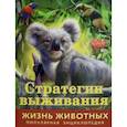 russische bücher: Баголи Илона - Жизнь животных. Стратегии выживания