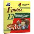 russische bücher:  - Грибы. 12 развивающих карточек с картинками и стихами для занятий с детьми. ФГОС ДО