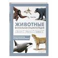 russische bücher: Тони Хеа - Животные. Визуальная энциклопедия