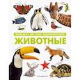 russische bücher:  - Животные. Большая детская энциклопедия