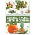 russische bücher: Спектор А.А. - Деревья, листья, цветы и семена