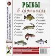 russische bücher:  - Рыбы в картинках. Наглядное пособие для педагогов, логопедов, воспитателей и родителей.