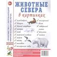 russische bücher:  - Животные севера в картинках. Наглядное пособие для педагогов, логопедов, воспитателей и родителей