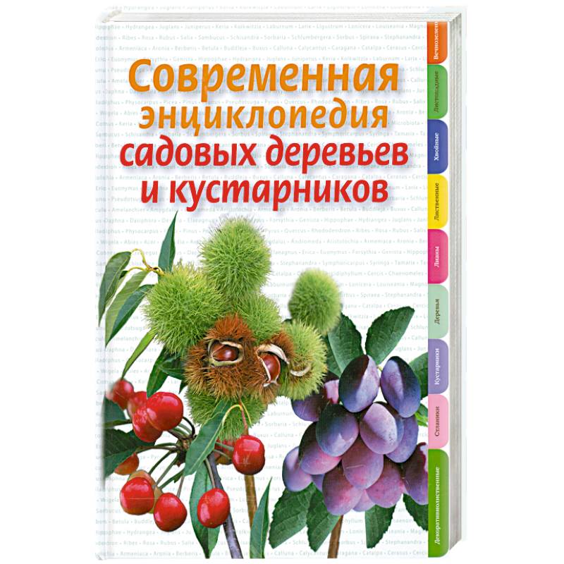 Современная энциклопедия садовых деревьев и кустарников