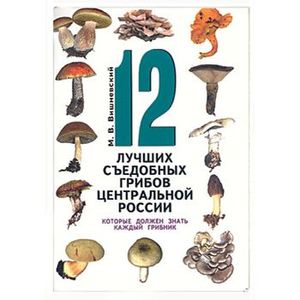12 лучших съедобных грибов Центральной России, которые должен знать каждый грибник
