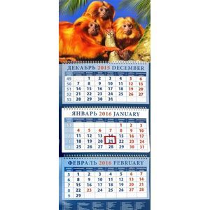 Календарь квартальный на 2016 год "Год обезьяны. Три золотистых тамарина" (14606)