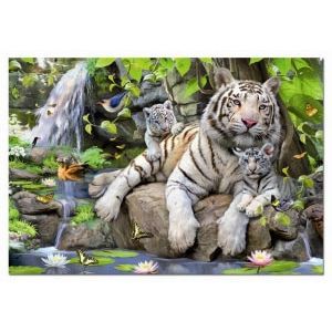Пазл-1000 "Белые Бенгальские тигры"