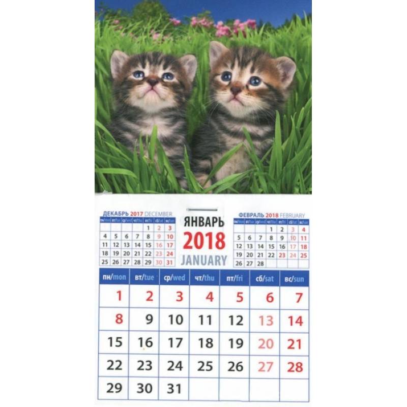 2018 Календарь "Котята в траве" (20812)