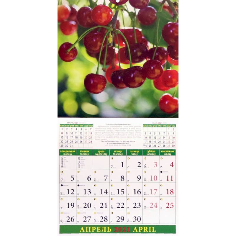 Лунный календарь сад огород апрель. Перекидной календарь сад огород. Календарь 300 на 300. Календарь настенный перекидной лунный. Календарь сад женский.