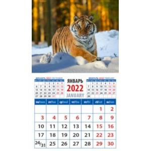 Календарь 2022 "Год тигра. В зимнем лесу" (20226)