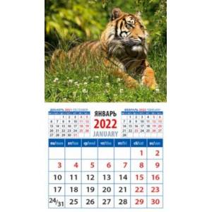 Календарь 2022 "Год тигра. Спокойствие и уверенность" (20225)