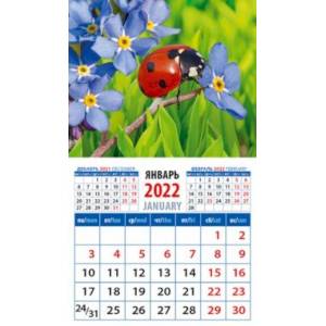 Календарь 2022 "Божья коровка на незабудке" (20216)