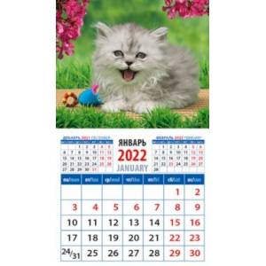Календарь 2022 "Забавный котенок" (20215)