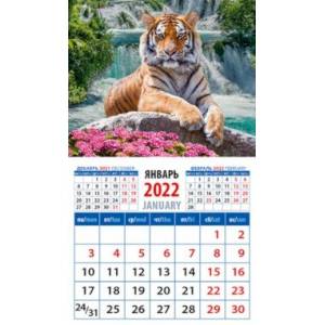 Календарь магнитный на 2022 год "Год тигра. Великолепный  тигр у водопада" (20231)