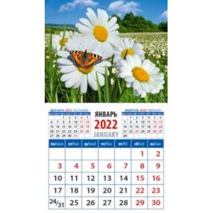 Календарь 2022 "Пейзаж с ромашками и бабочкой" (20214)