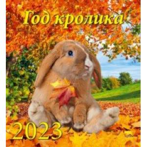 Календарь Год кролика, на 2023 год