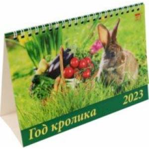 2023 Календарь Год кролика