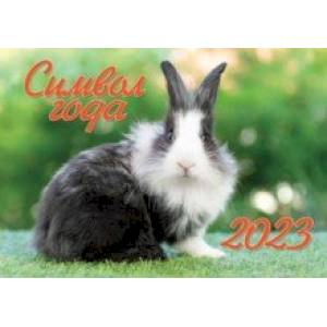 Календарь на 2023 год настенный Символ года 1. Кролик