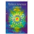 russische bücher: Суй Ч. - Чудеса лечения праной