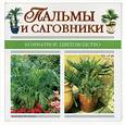 russische bücher:  - Пальмы и саговники