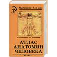russische bücher: Боянович, Балакирев - Атлас анатомии человека