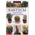 russische bücher: Лагутина - Кактусы и другие суккуленты. Разведение и уход