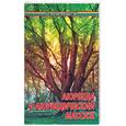 russische bücher: Бубличенко - Аюрведа и аюрведический массаж