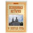 russische bücher: Журавлев - Священная история и Святая Русь