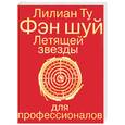russische bücher: Ту Л - Фэн-шуй Летящей звезды для профессионалов