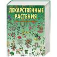 russische bücher: Лебеда - Лекарственные растения: самая полная энциклопедия