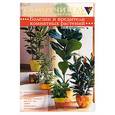 russische bücher: Варфоломеева Е. - Болезни и вредители комнатных растений