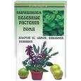 russische bücher: Казьмин - Выращиваем целебные растения дома: золотой ус, лимон, цикламен, эхинацея