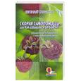 russische bücher: Тарасов - Скорая самопомощь, или Как избавиться от болезни