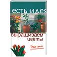 russische bücher: Алмазова - Выращиваем цветы. Это просто!