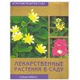 russische bücher: Куликова М. - Лекарственные растения в саду