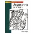 russische bücher: Фостер У. - Анатомия человека