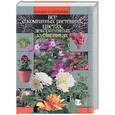 russische bücher: Быховец - Все о комнатных растениях, цветах, декоративных кустарниках