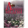 russische bücher: Онегов - Лечение медом