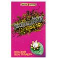 russische bücher: Володина Наталия - Последняя песнь трубадура