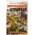 russische bücher: Шишкин Е.В. - Добровольцем в штрафбат. Бесова душа