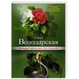 russische bücher: Ольга Володарская - Каждый день как последний