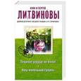 russische bücher: Анна и Сергей Литвиновы - Ледяное сердце не болит. Наш маленький Грааль