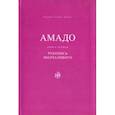 russische bücher: Семин-Вадов Андрей Геннадьевич - Амадо. Книга 1. Рукопись Молчаливого