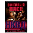 russische bücher: Денисов Вячеслав Юрьевич - Огненный плен