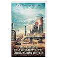 russische bücher: Дэшнер Д. - Испытание огнем