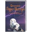 russische bücher: Бэггет Д., Клейн Ш. - Философия Гарри Поттера. Если бы Аристотель учился в Хогвартсе
