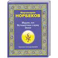 russische bücher: Норбеков М. - Шулинк, или Путешествие к пупку Земли