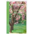 russische bücher: Л. Виилма - Книга духовного роста. Или высвобождение души