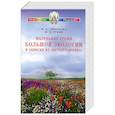 russische bücher: Семенова Н. - Маленькие уроки Большой экологии и записки из "Ветхого архива"